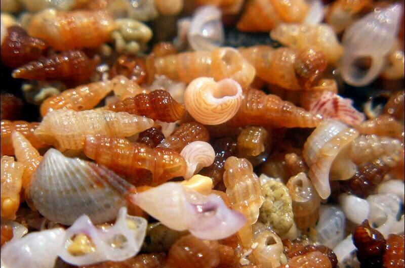 Семейный дом «Виктория»