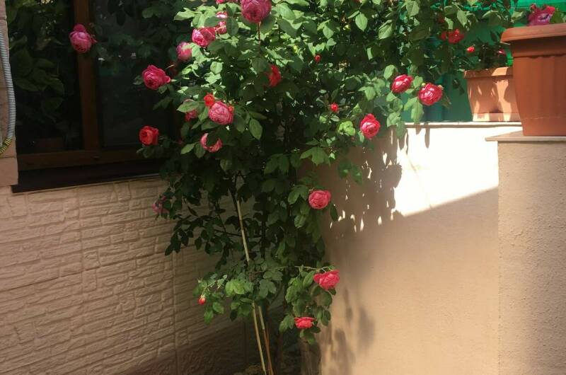 Квартира в частном секторе