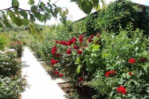 Изображение Гостевой дом «Уют» #3