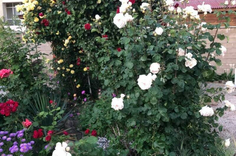 Частный сектор на Адмиральской