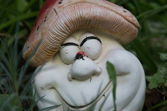 Гостевой дом «Водолейчик»