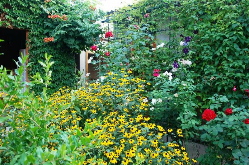 Гостевой дом «Домик у моря»