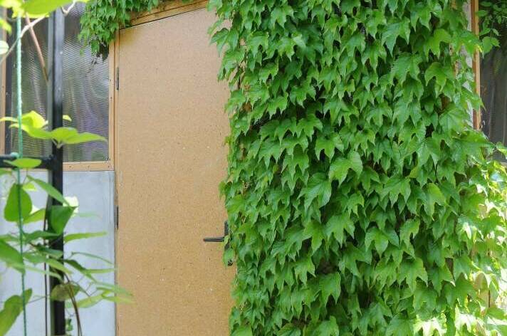 Гостевой дом «Домик у моря»