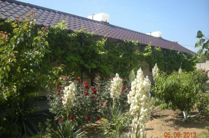 Пансионат «Лана»