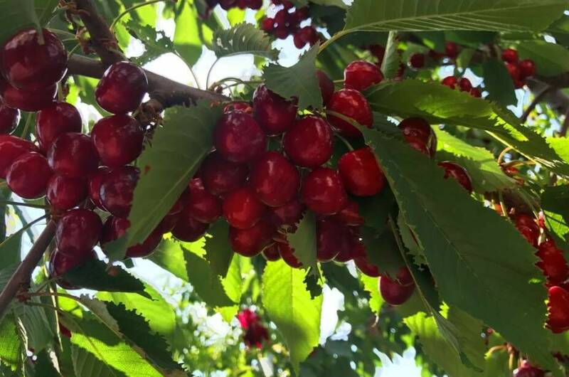 Частный отель «У моря»