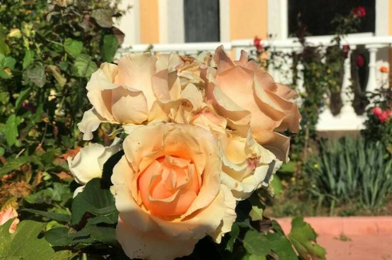 Частный отель «У моря»