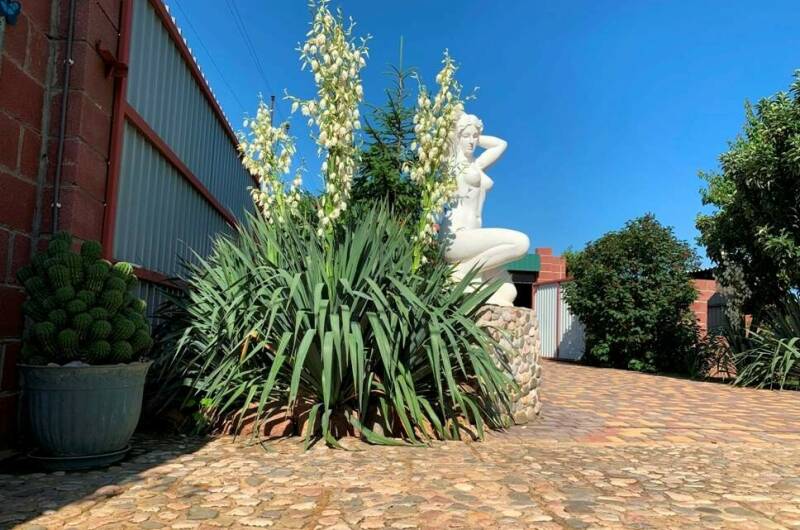 Частный отель «У моря»