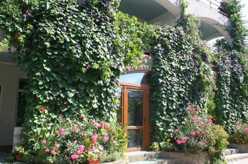 Гостевой дом «Бунгало у Романа»