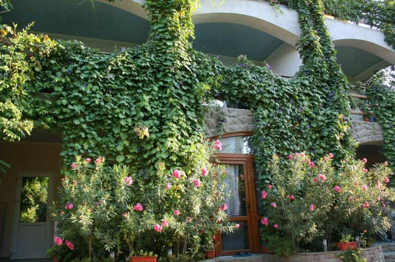 Гостевой дом «Бунгало у Романа»