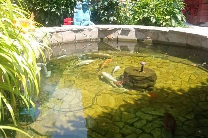 Деревянный коттедж под ключ (сруб)