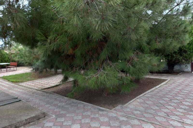 Парк-отель «Мысовое lux»