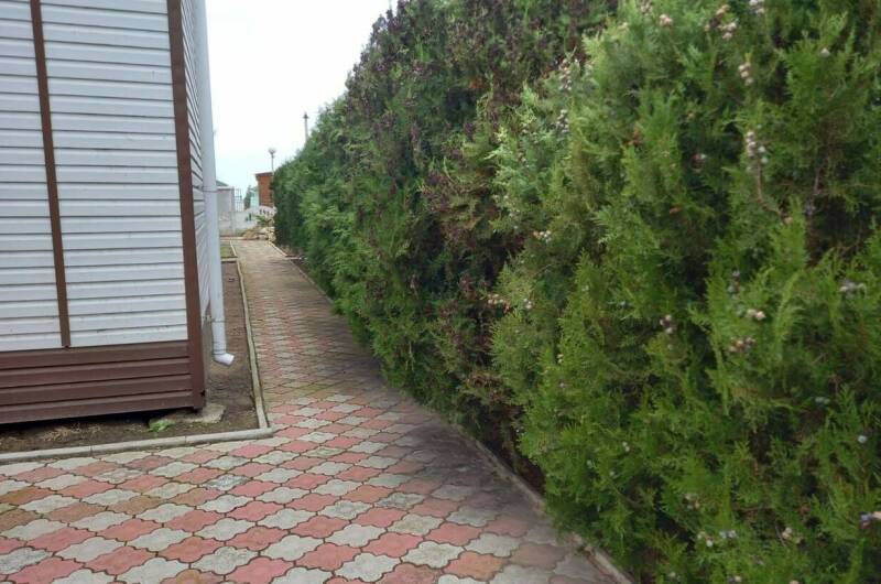 Парк-отель «Мысовое lux»