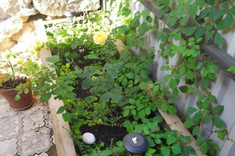 Квартира у дворца «Алупка-Роза 3»