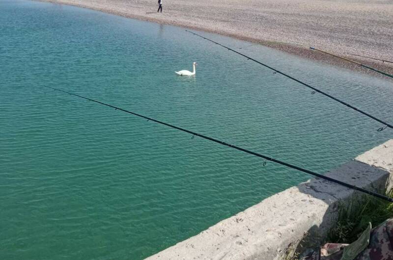 Этаж под ключ на Профсоюзной