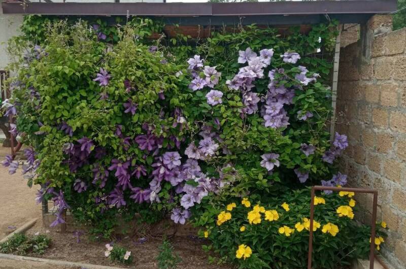 Этаж под ключ на Профсоюзной