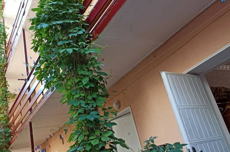 Гостевой дом «Хотэй»