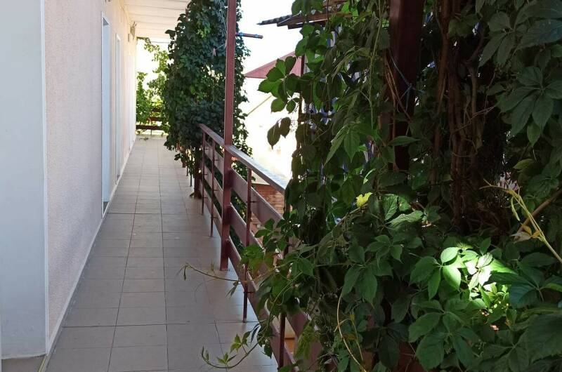 Гостевой дом «Хотэй»