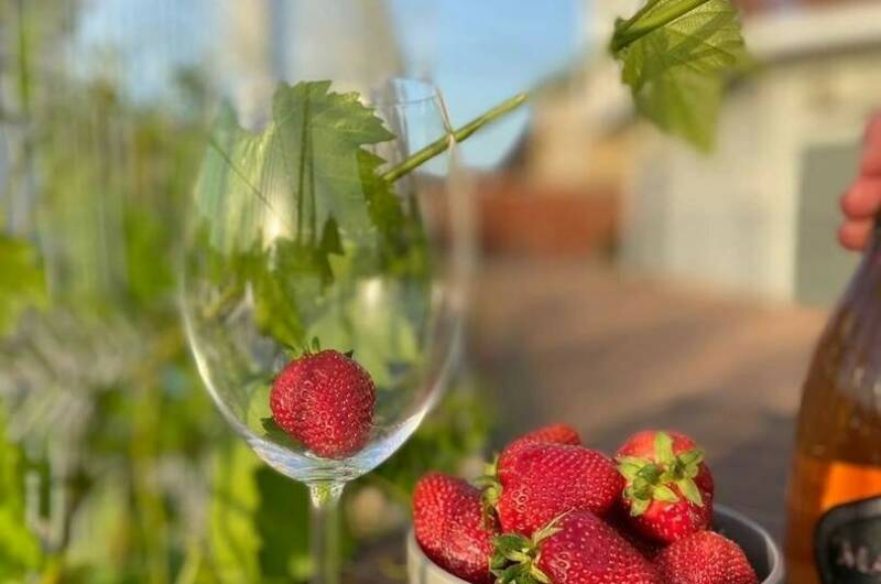 Гостевой дом «Селена»