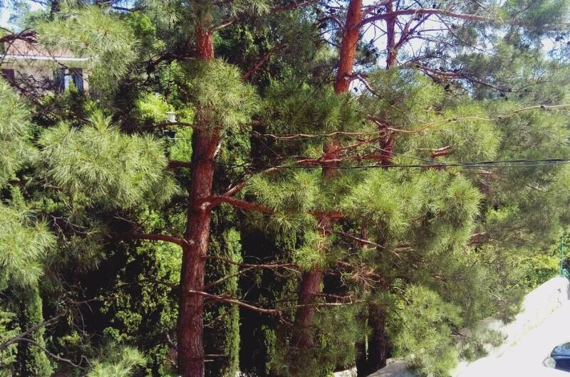 Двухкомнатная квартира в Партените