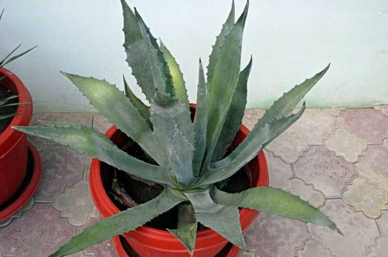 Мини-отель «77»