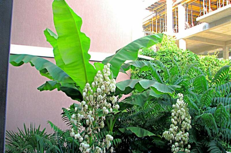 Мини-отель «77»