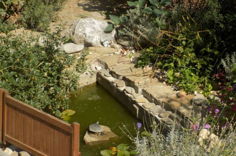 Гостевой дом «Олива»