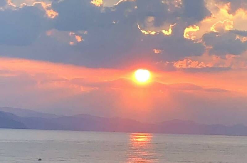 Апартаменты на пляже «Дельфин»