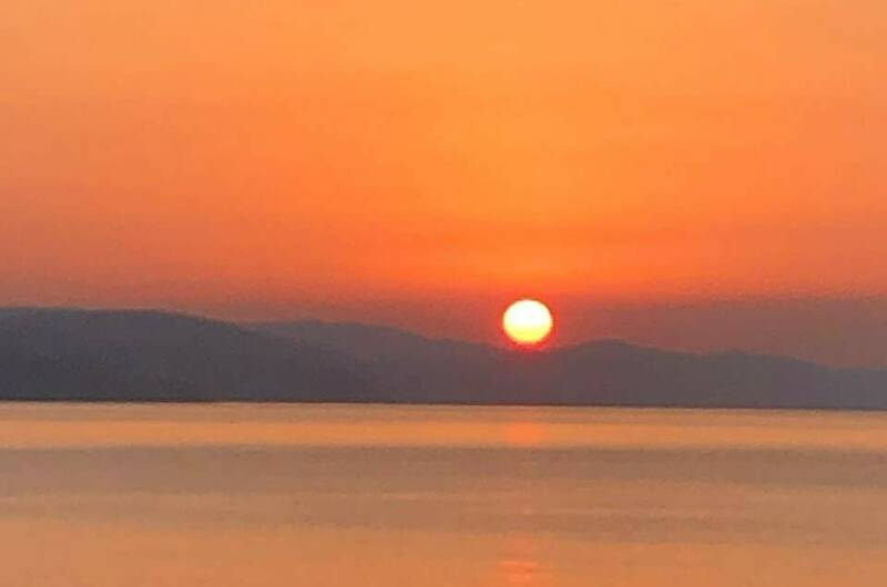 Апартаменты на пляже «Дельфин»