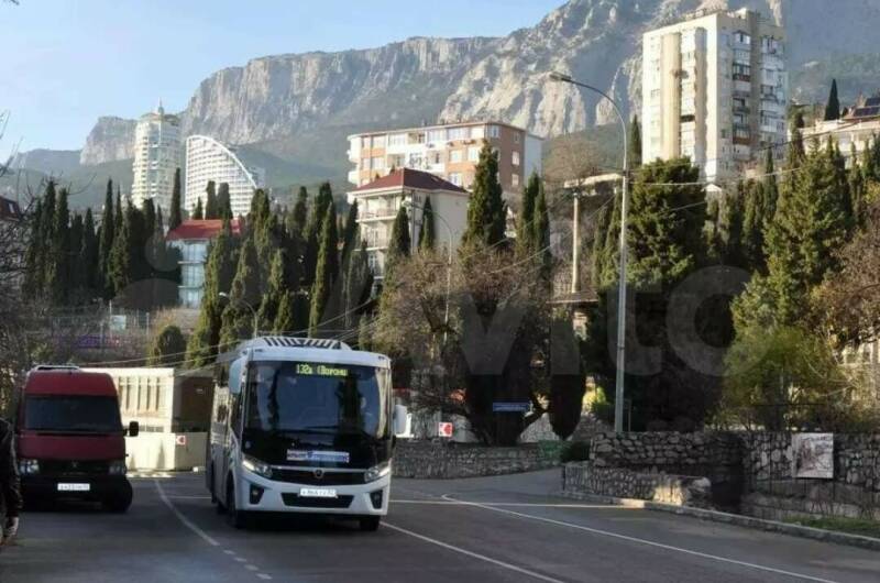 Уютная студия у парка и моря