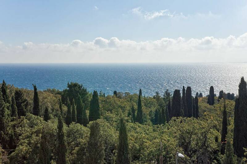 Супервидовая студия напротив санатория им. Боброва