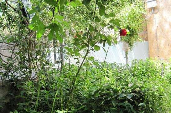 Домик у моря