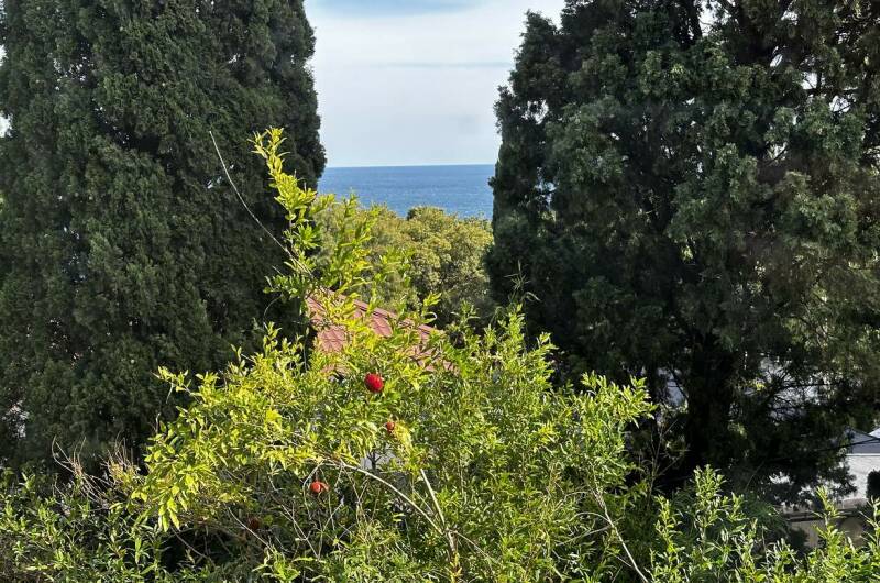 Гостевой дом «У Елены»