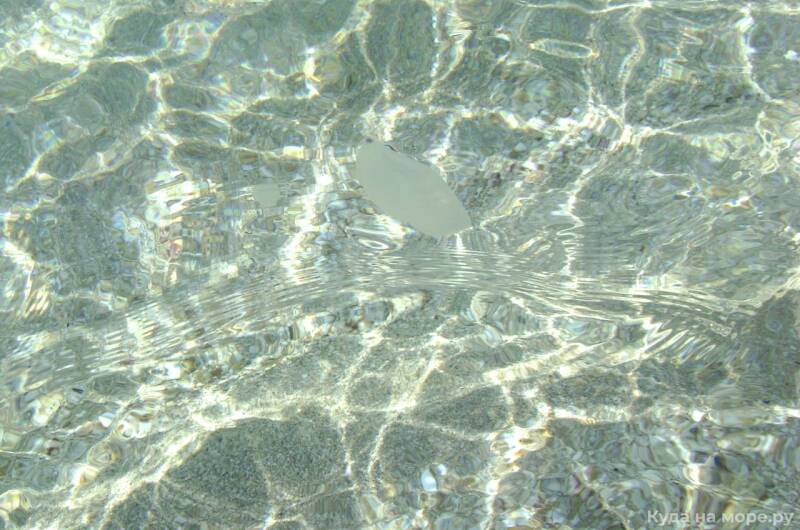 Однокомнатный дом у самого моря